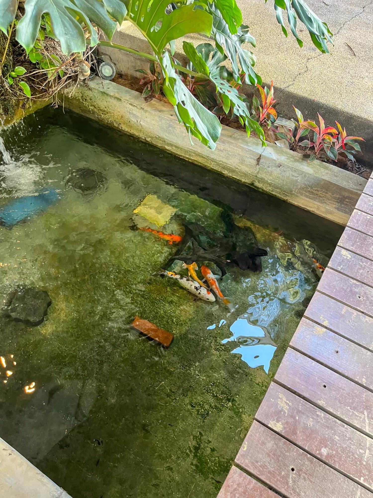 Bangsar Private Pool Vila Kuala Lumpur